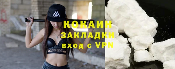 шишки Костерёво