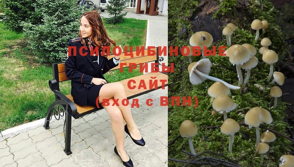 ГАЛЛЮЦИНОГЕННЫЕ ГРИБЫ Киреевск