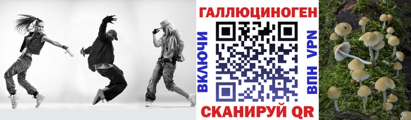 Галлюциногенные грибы прущие грибы  гидра ONION  Шагонар 