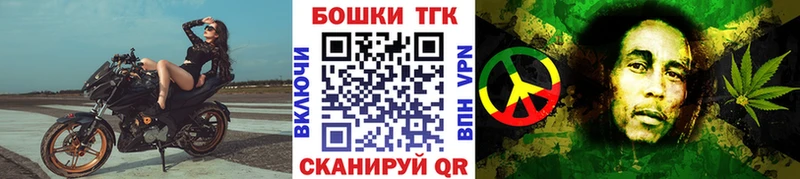 Каннабис планчик  Шагонар 